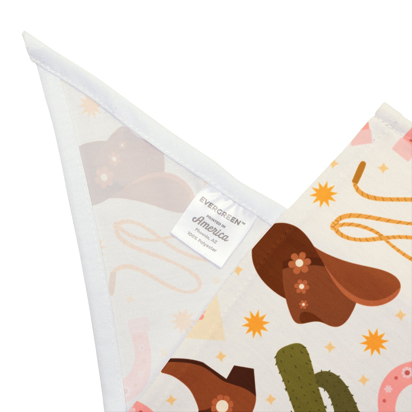 Desert Daze Pet Bandana