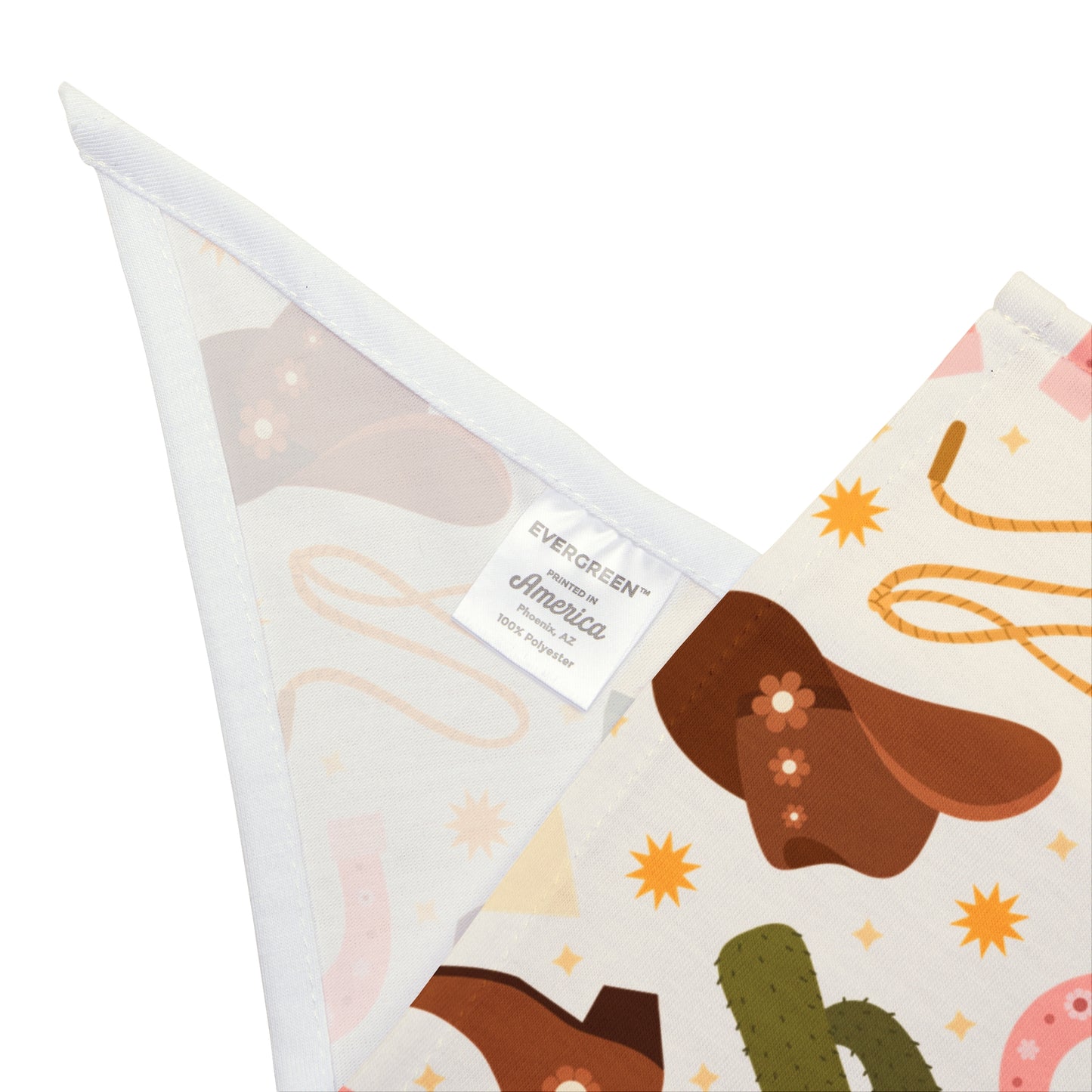 Desert Daze Pet Bandana